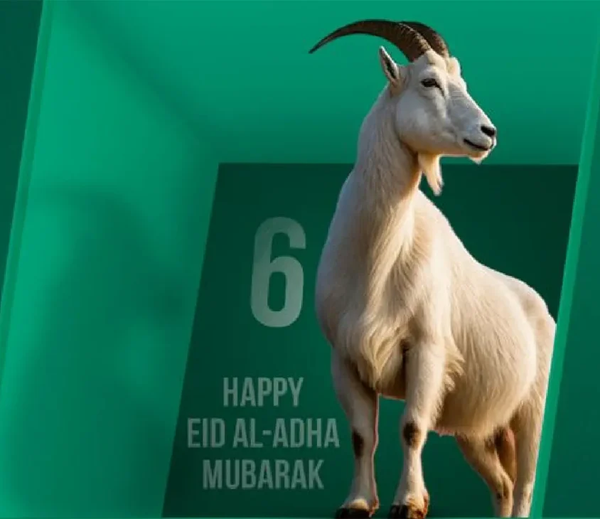 Название проекта 1