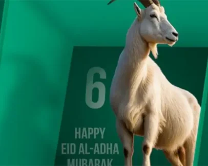 Название проекта 1