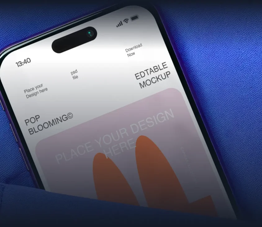 Название проекта 1