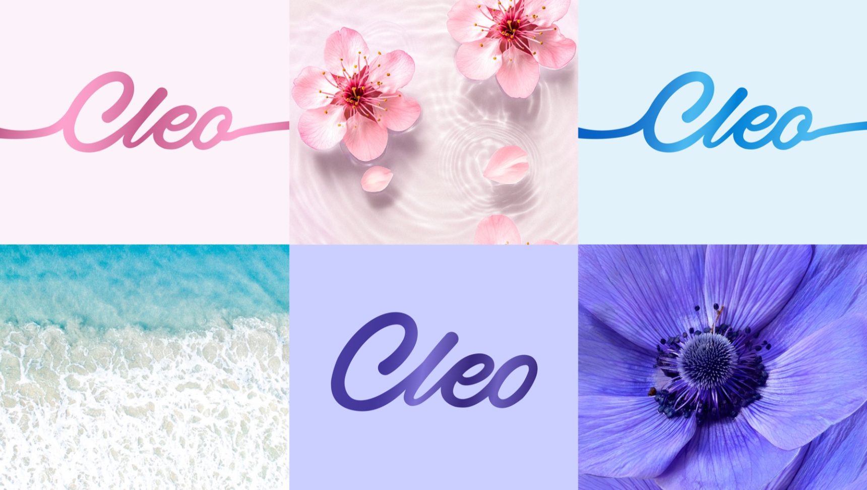 Cleo — фирменный стиль